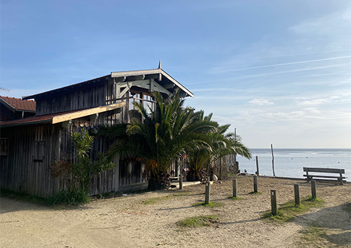 Actu CREAD : La rénovation d'une cabane au Cap-Ferret : le projet fil rouge des étudiants bordelais !