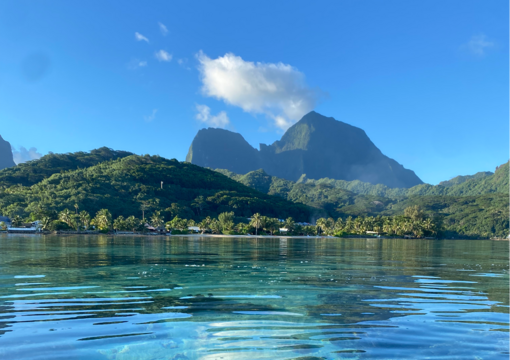 Actu CREAD : Partage d'expérience : l'expérience unique de Timm, en stage à Tahiti